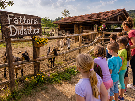 4_fattoria_didattica_440X330
