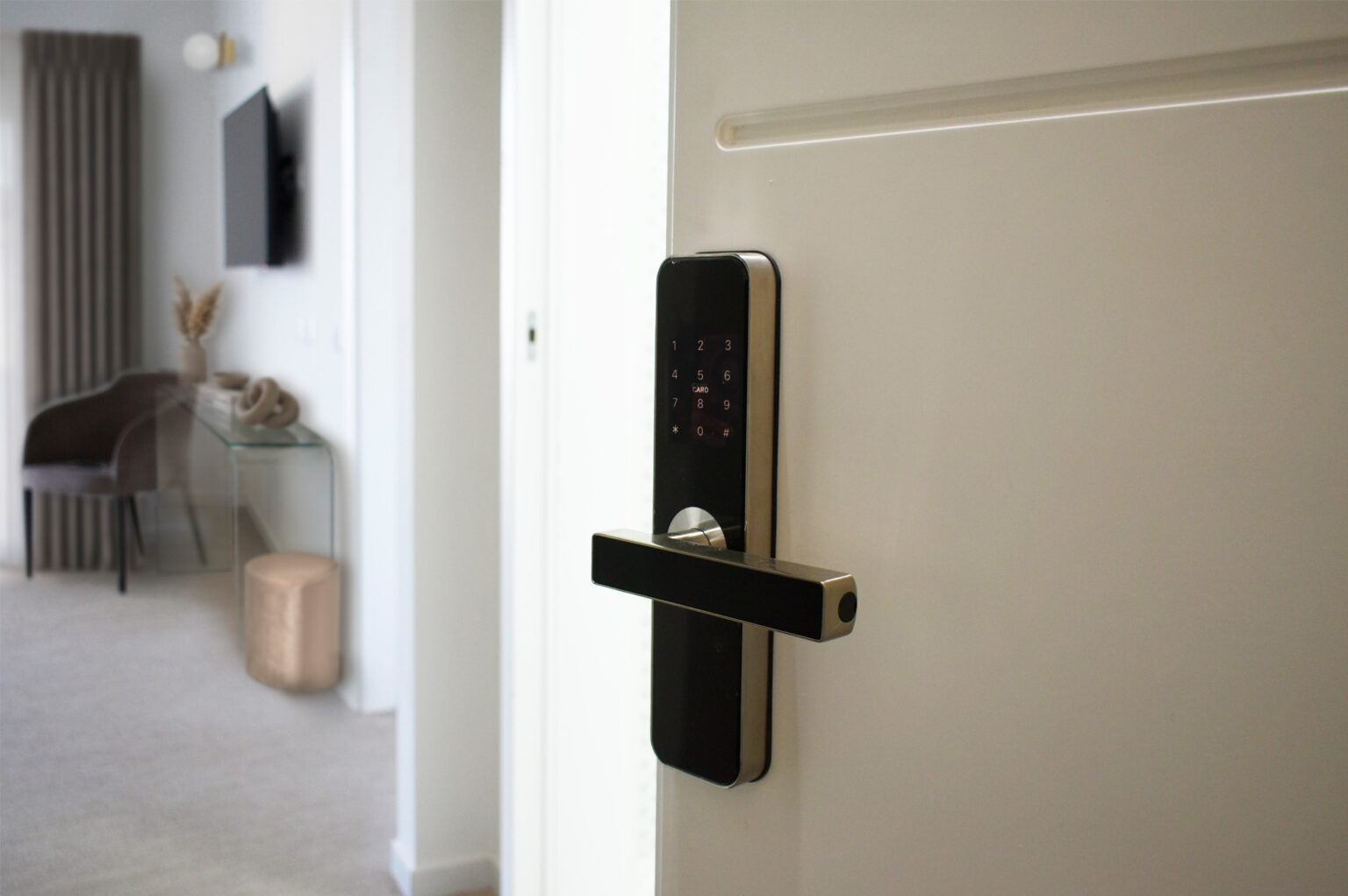 porta ingresso con maniglia copia