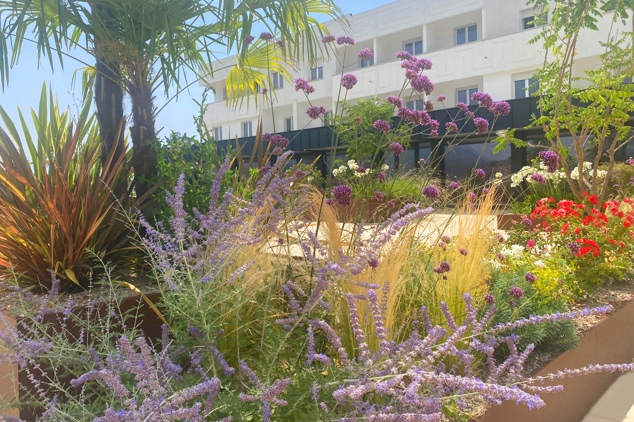 Giardino 4