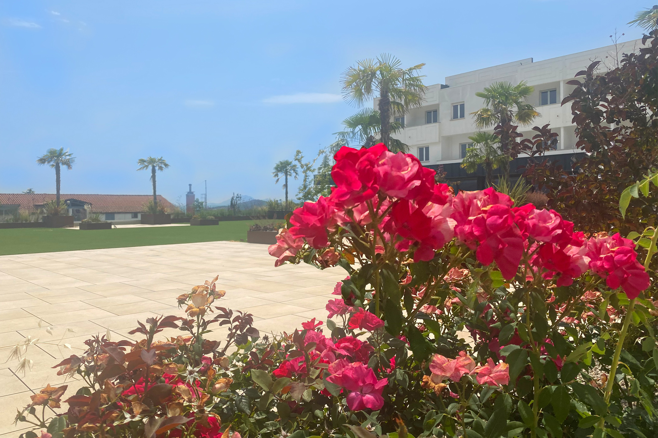 Giardino 7