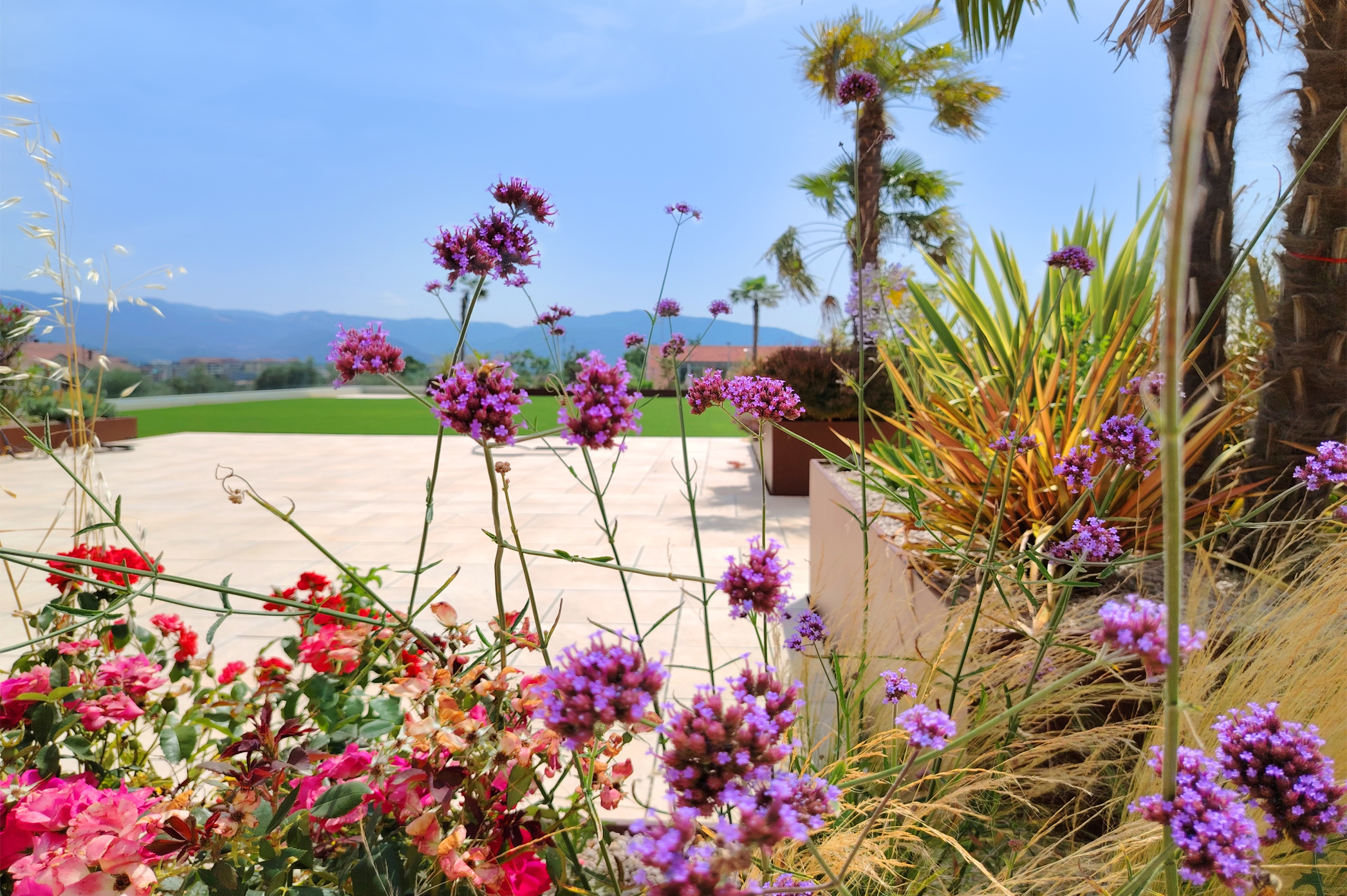 Giardino 9